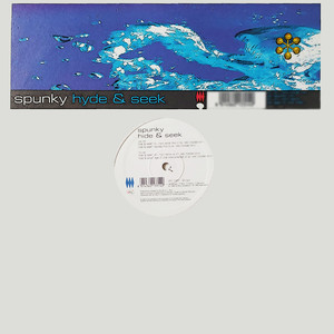 Hide & Seek (DJ Ricci Vocal Mix)