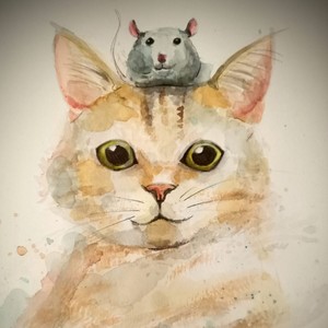 Mattia Lucchesi - Sinfonia 