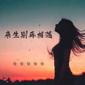 来生别再相遇 (DJ默涵女版)封面