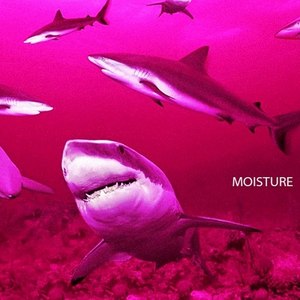 Moisture (Explicit)