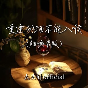 大头针 Official - 重逢的酒不能入喉 (烟嗓男版)