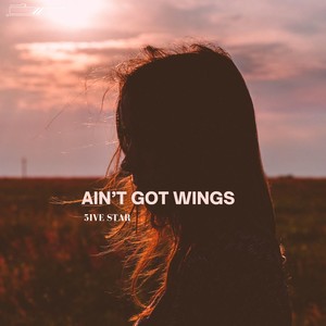 Ain't Got Wings
