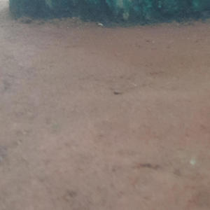 Salimos del gueto (feat. Wicks Rincon & Neyger king) (Explicit)