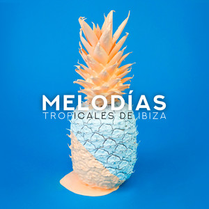 Melodías Tropicales de Ibiza - Soleada Ibiza, Vibes Relajación, Vacaciones Canciones, Música para Relajarse 2019