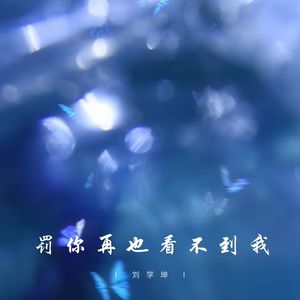 罚你再也看不到我