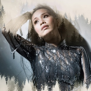 Lk Sau Le Bong / Nua Dem Ngoai