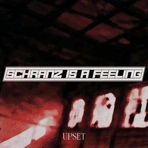 schranz is a feeling 2