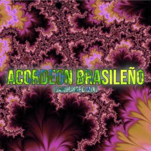 Acordeon Brasileño (Sandungeo Mix)