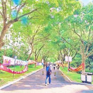 若相惜幼儿园里翻唱版