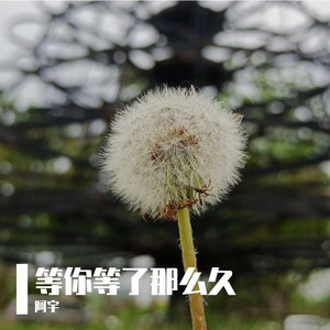 等你等了那么久
