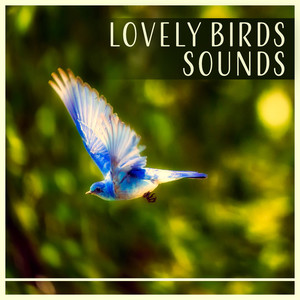 Lovely Birds Sounds - Enjoy with Calm Singing Birds Zone