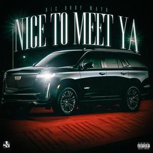 Nice To Meet Ya (Explicit)