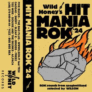 Hit Mania Rok '24 (Explicit)