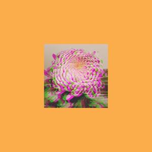 chrysanthemum (feat. Sagii) (Explicit)