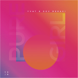 Little Sunflower Blooming