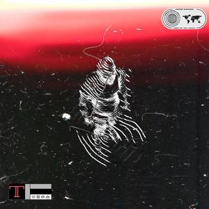 EL CAMINO (Explicit)