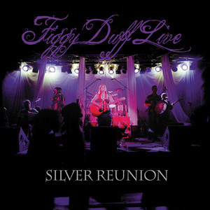 Figgy Duff Live Silver Reunion