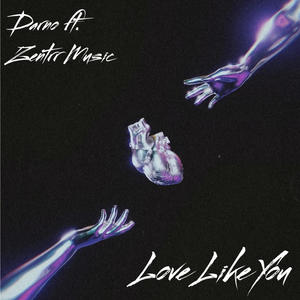 Love Like You (feat. Zentrr Music)