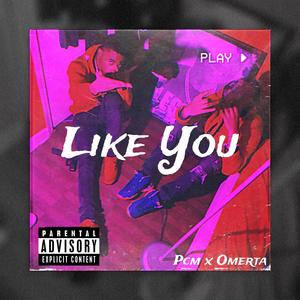 Like You (feat. Paperchasinmann) [Explicit]