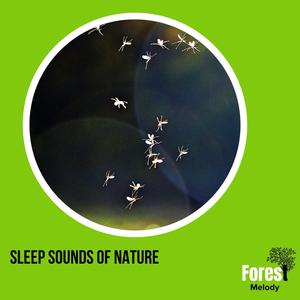 Tangled Rattle Snake