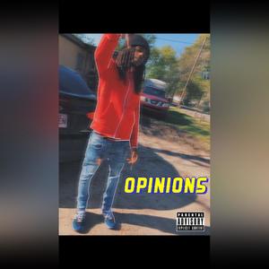 Opinions (Explicit)