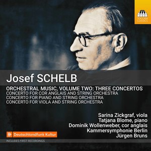 Viola Concerto - I. Allegro moderato