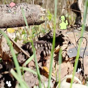 I-75 (feat. polo youngin, glozula & vist) (Explicit)