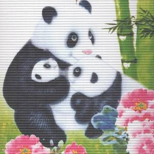 Intentions (Explicit)