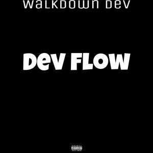 Dev Flow (Explicit)