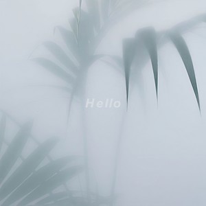 无果之爱 Hello