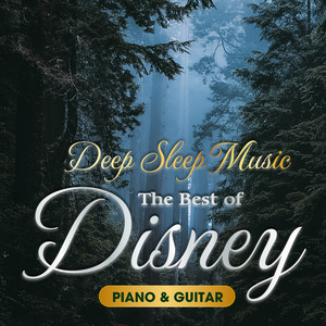 いつか夢で(ピアノ&ギター)【『眠れる森の美女』より】