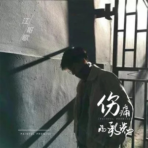 伤痛的承诺