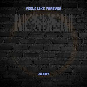 Feels like forever (Explicit)