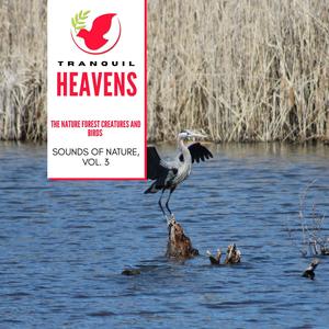 The Nature Forest Creatures and Birds - Sounds of Nature, Vol. 3