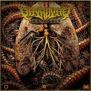 Tarantula (Explicit)