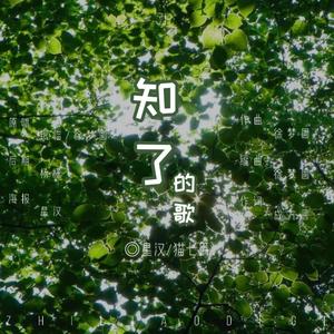 知了的歌 (翻自 徐梦圆)