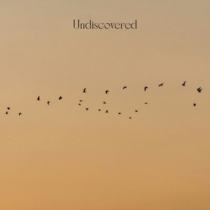 Undiscovered