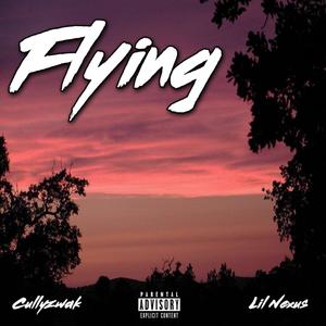Flying (feat. Lil Nexus) (Explicit)