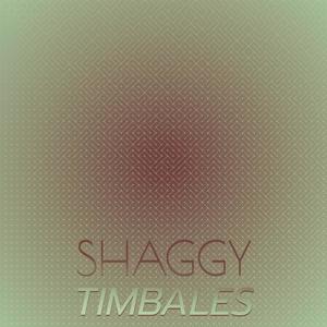 Shaggy Timbales