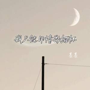 我只能用情歌缅怀
