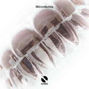 Hitverdächtig (Instrumental)