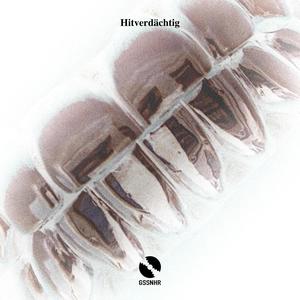 Hitverdächtig (Instrumental) [Explicit]