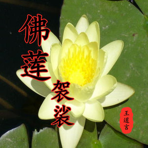 佛莲袈裟 (伴奏)