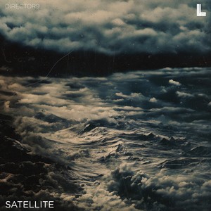 Satellite