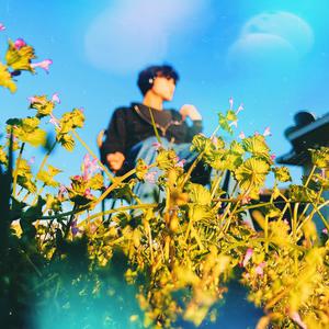 shooting star (sped up)