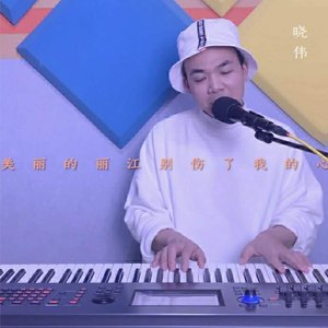 美丽的丽江别伤了我的心