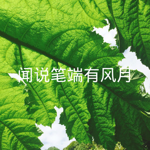 我的一个道姑朋友 (DJ版)