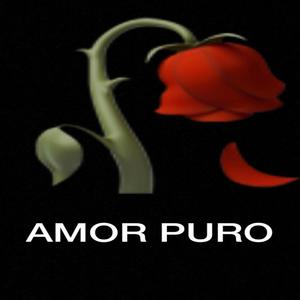 Amor Puro