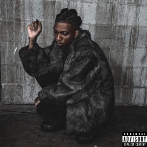 Model *****es (Explicit)