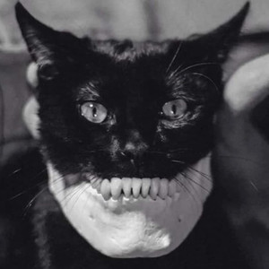 Alcen las Copas (Explicit)